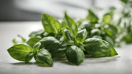Fototapeta premium AI generated illustration of basil leaves spread on white table