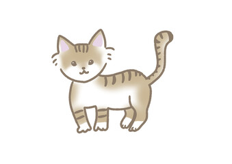 スナネコのかわいいイラスト