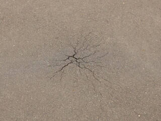 Spider web split in the asphalt. The plant breaks through the hard asphalt covering. The power of life and nature permeates urban amenities. There is a hole in the asphalt road.
