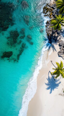 Fototapeta na wymiar Vibrant colors and exotic vibes: Tropical beach from above