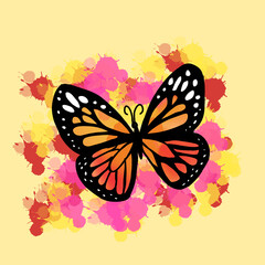 butterfly illustration