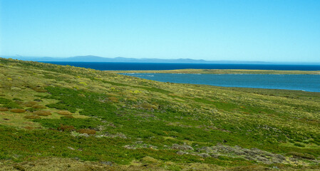 Volunteer Point , Est Falkland, Iles Falkland, Malouines