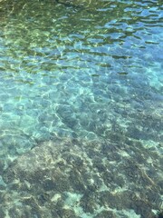 Fototapeta na wymiar Clear sea water with algae at the bottom.