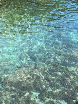 Clear sea water with algae at the bottom.