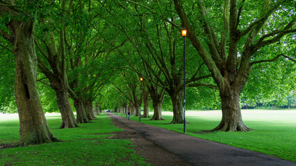 alley in the park
