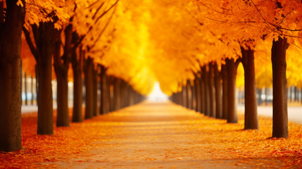 Autumnal avenue with golden trees and leaf-covered path.