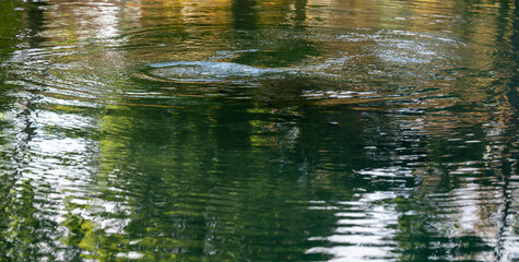 Disturbed water surface with unclear reflection