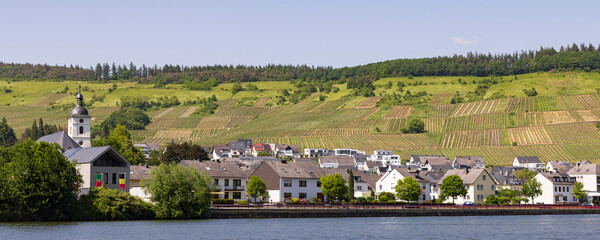 Landscape surroundings of Mehring village along the Moselle river in Rhineland-Palatinate in Germany