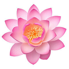 Pink Lotus Flower Isolated