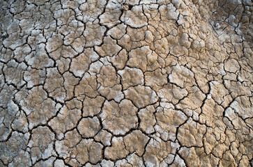 texture of the ground. a close-up of the background made of fractured earth. A lovely image of level ground.