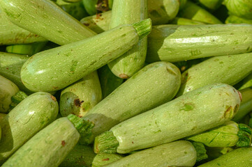 Appetizing zucchini at the market on the island of Cyprus in autumn 1