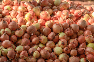 juicy onions at the market on the island of Cyprus in autumn 1