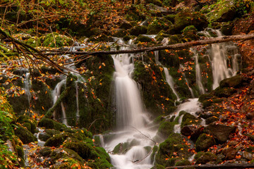 Yedigoller National Park, Autumn views. Bolu, Turkey