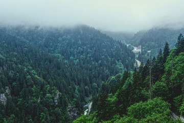 Fototapeta na wymiar fog in the mountains