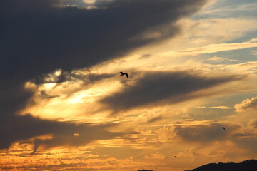 sunset in the sky