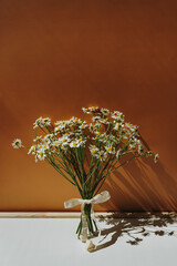 Chamomile daisy flowers bouquet on warm tan ginger background with sunlight shadows. Minimal stylish still life floral composition - obrazy, fototapety, plakaty