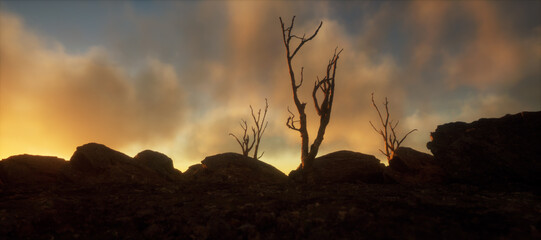Arid landscape with rocks and dead trees under a cloudy sky at sunset.