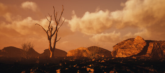 Arid landscape with rocks, bushes and a dead tree under a cloudy sky at sunset.