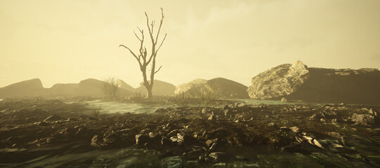 Misty riverbed with rocks, bushes and a dead tree.