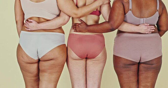 Body positive, underwear butt or women hug, solidarity and fashion choice, natural beauty or inclusion. Woman empowerment, diversity and lingerie size, panties or back of friends on studio background