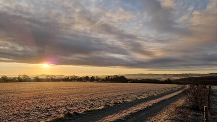 Obraz premium Unpaved road in a field under blue cloudy dusk sky at sunset