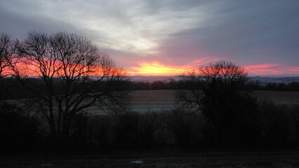 Silhouette view of leafless trees in the field against colorful sunset sky