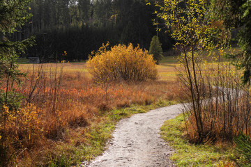 Weg durch's Tiefenberger Moos.