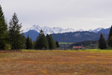 Tiefenberger Moos mit Blick zur Trettach, M&auml;delegabel und Hochfrottspitze.