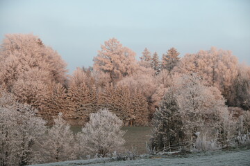 Naturlandschaft im Winter zwischen Wald und Wiese mit Raureif