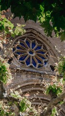 Rosette stained glass window of an old church building with tree leaves in the foreground