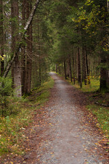 Weg durch's Tiefenberger Moos.