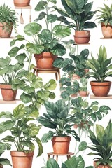 Obraz premium Pattern design house plant green