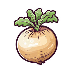 turnip isolated on white background