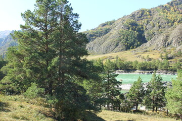 Altai mountains. Autumn landscape. Sunny day in mountains. 