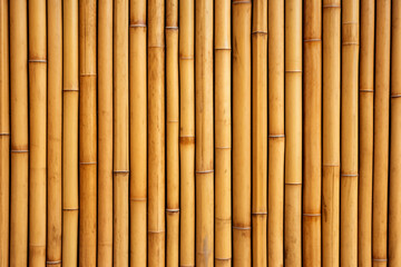Bamboo wall texture for background.Abstract background of bamboo wall.