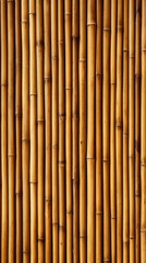 Wooden bamboo wall background.Texture of bamboo fence. 