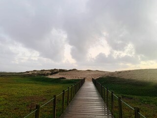 Fototapeta na wymiar Scenic view of a trail in a green field near the ocean on Portugal coast
