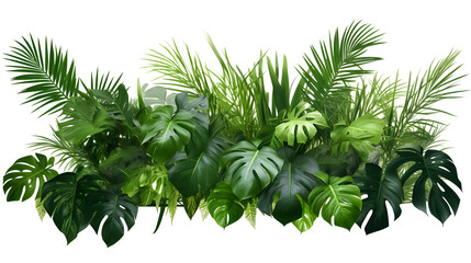 Tropical leaves foliage plant jungle bush floral, PNG - obrazy, fototapety, plakaty