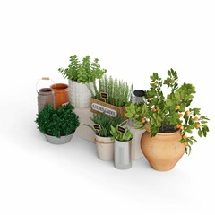 various potted herbs in various sizes on a white background