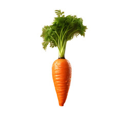 carrot isolated, clipping path, full depth of field, soft smooth lighting