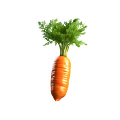 carrot isolated