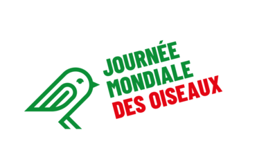Journée mondiale des oiseaux le 5 janvier