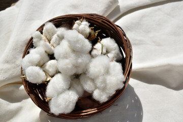 close up fluffy cotton flowers in basket