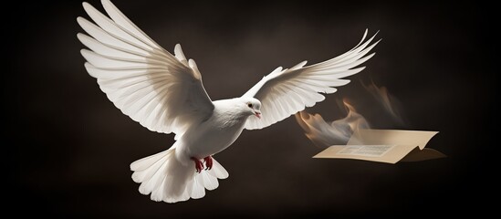 White Dove flying free on beautiful sunset view. AI generated image