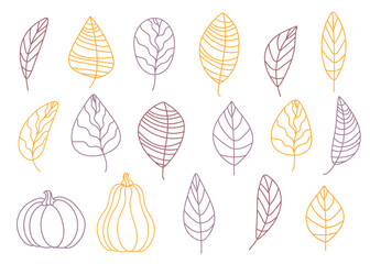 Set of autumn leaves and pumpkins. Vector illustration from outlines