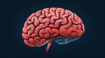 Engraved Human Brain Drawing in Bright Red - Medical Neuroscience Illustration