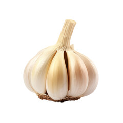 A head of garlic, isolated on white background. 