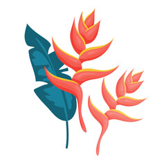 Red  crab plant  flower, exotic collection. Bloming bouquet with green banana  leaves. Vector illustration.