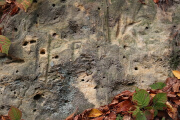 Skałą piaskowca z dziurami zrobionymi przez zwierzęta © 777PiT