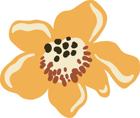 Wild Colorful Flower Blooming